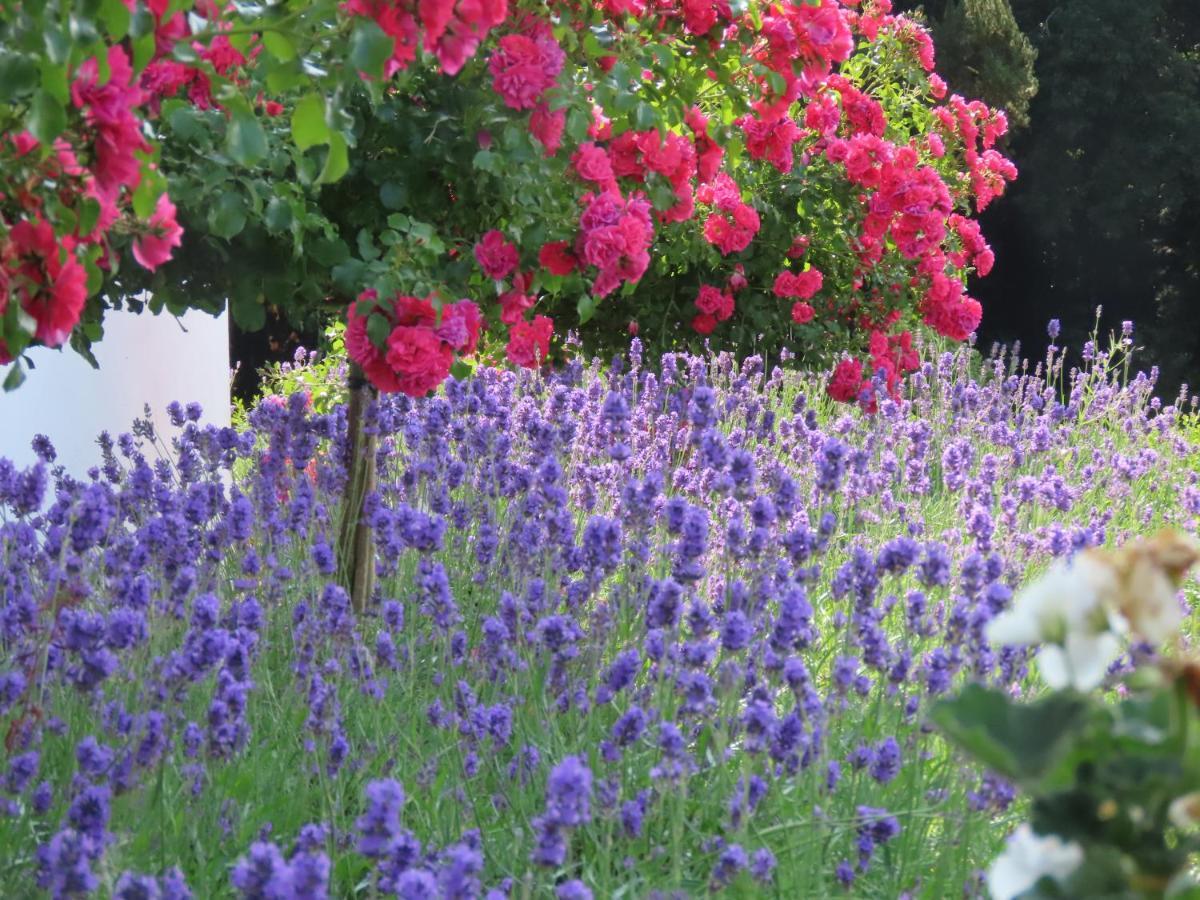 קאשל Noan Country House B&B מראה חיצוני תמונה